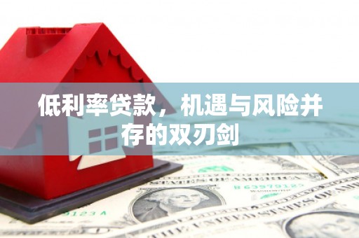 大洼低利率贷款，机遇与风险并存的双刃剑