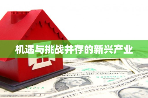 大洼机遇与挑战并存的新兴产业