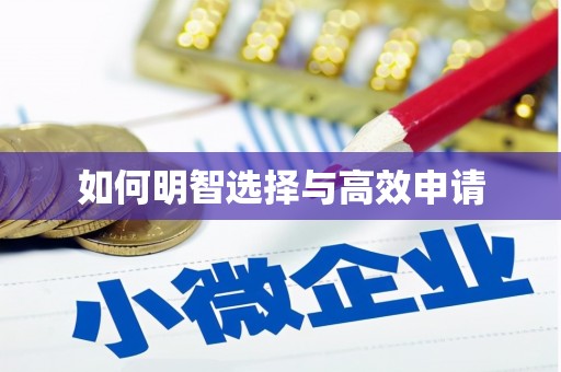 大洼如何明智选择与高效申请