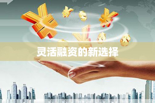 大洼灵活融资的新选择