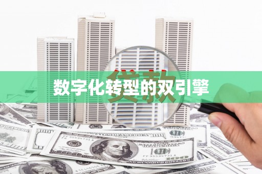 大洼数字化转型的双引擎