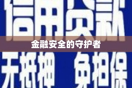 大洼金融安全的守护者