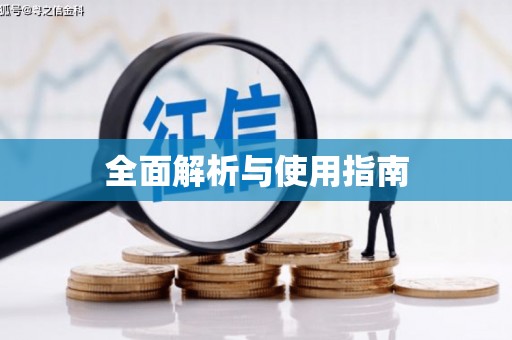 大洼全面解析与使用指南
