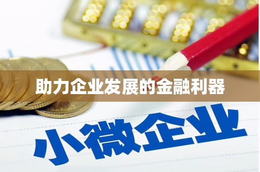 大洼助力企业发展的金融利器
