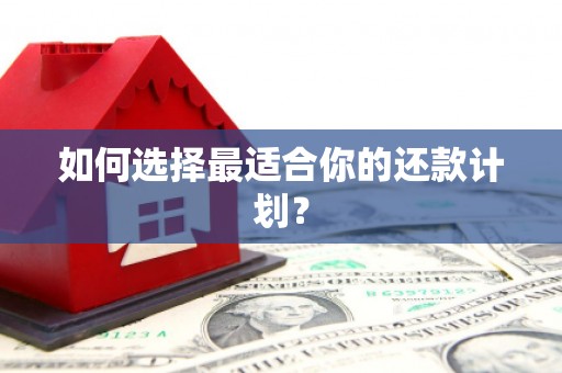 大洼如何选择最适合你的还款计划？