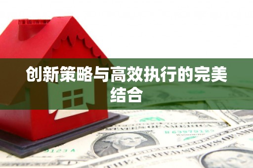 大洼创新策略与高效执行的完美结合