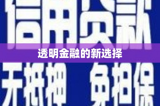 大洼透明金融的新选择