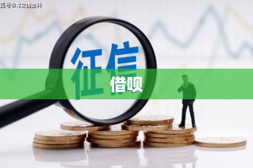 大洼借呗
