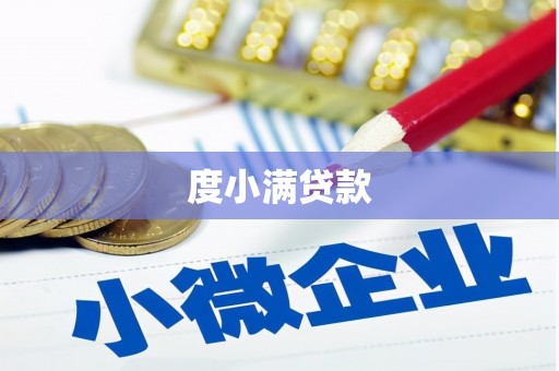 大洼度小满贷款